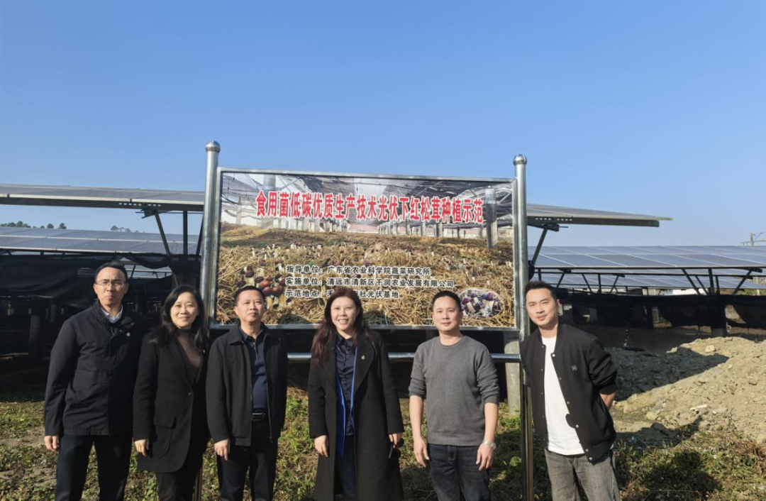 必赢亚州bwin·(中国区)官方网站