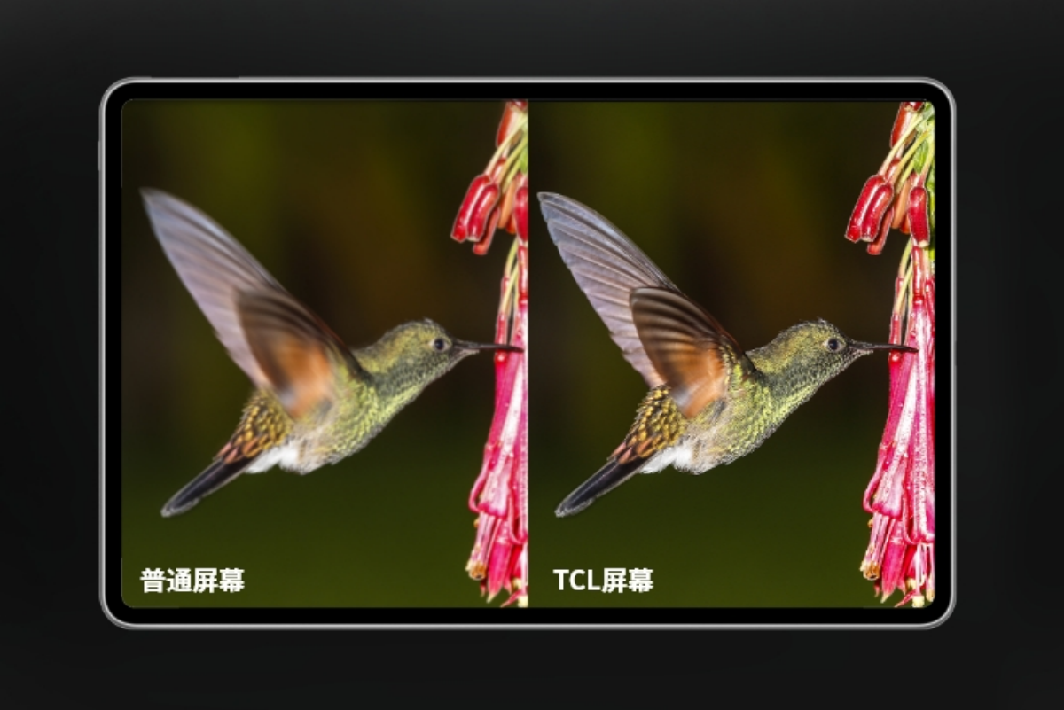 必赢亚州bwin·(中国区)官方网站