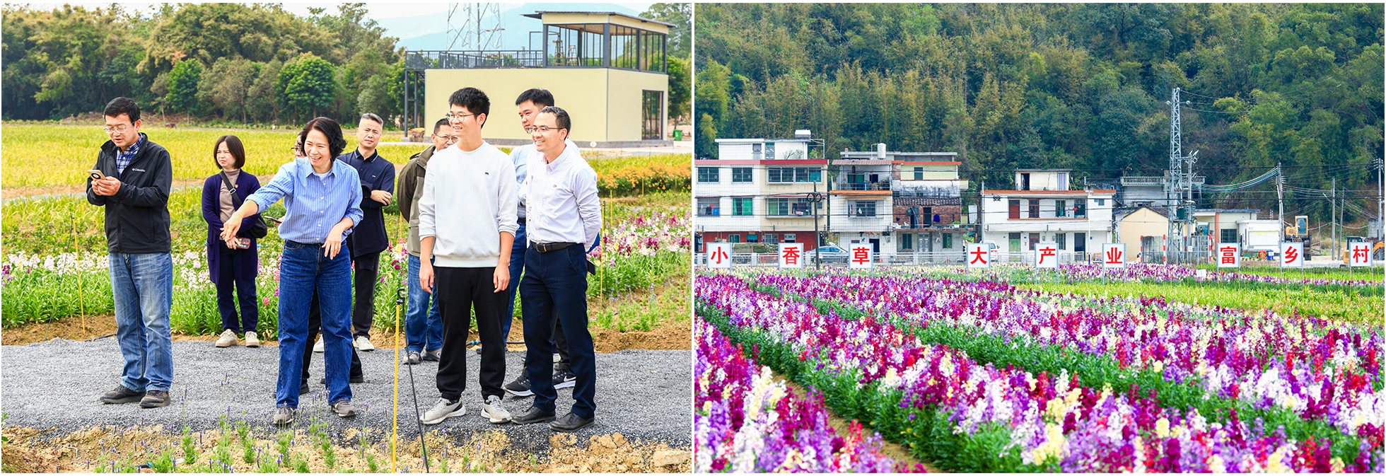 必赢亚州bwin·(中国区)官方网站